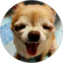 まさき profile picture